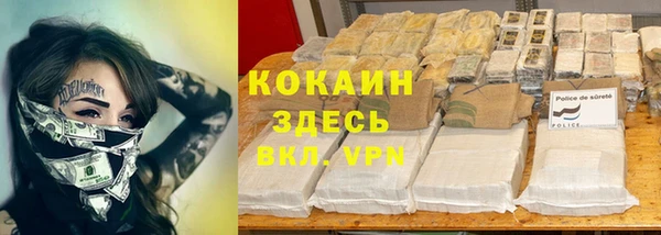 прущие крисы Алзамай