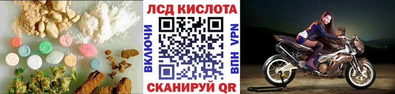 ЛСД экстази ecstasy  OMG как зайти  Рубцовск 