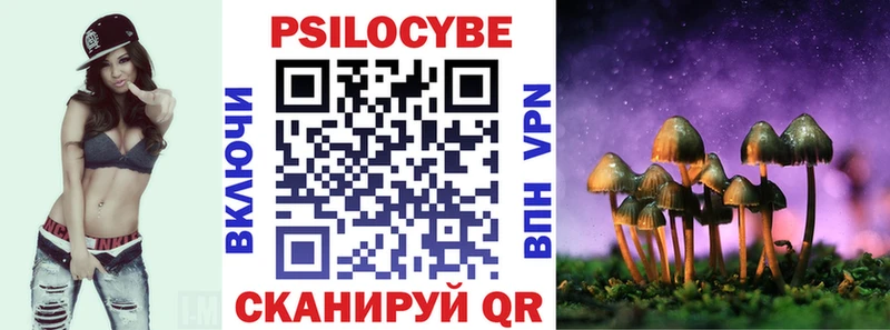 omg как зайти Рубцовск Галлюциногенные грибы Cubensis
